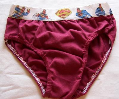 SLIP: Linea Econ&oacute;mica